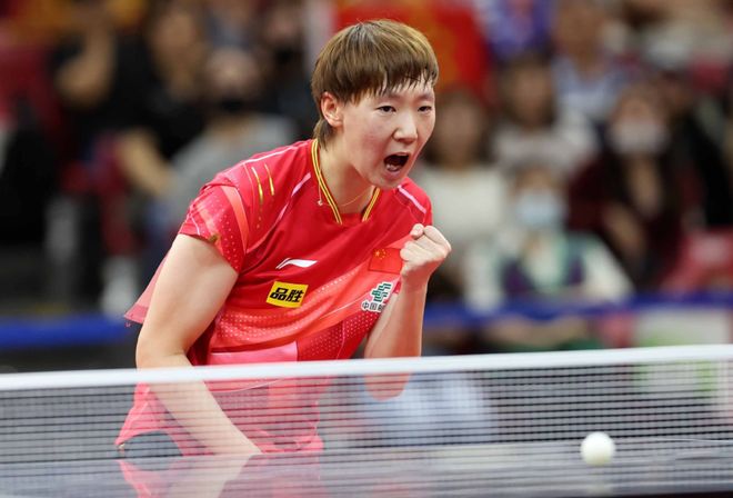 体育领域的 体育领域的